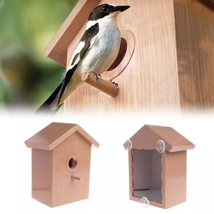 Wood Bird Nests Outdoor Suction Cup Visible Bird Home Garden Window Birdhouse Dispenser Food Container House Bird Feeder tools